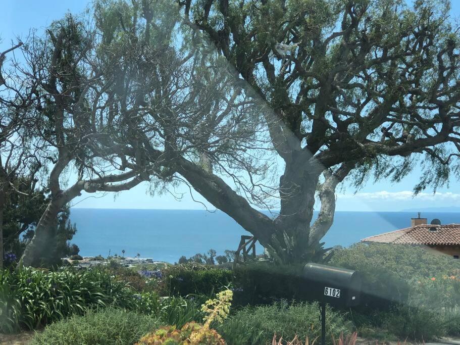 30 Pct Off!! Limited Time! Malibu Charming Getaway With King Bed, Near Beach מראה חיצוני תמונה