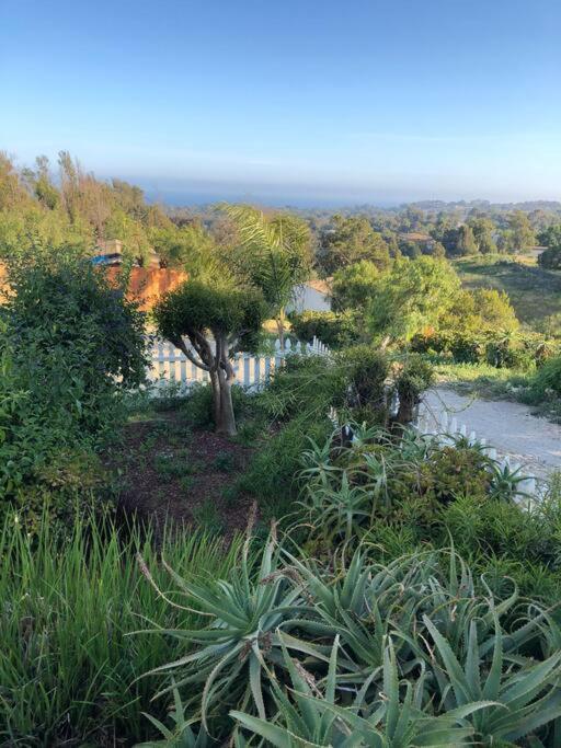 30 Pct Off!! Limited Time! Malibu Charming Getaway With King Bed, Near Beach מראה חיצוני תמונה