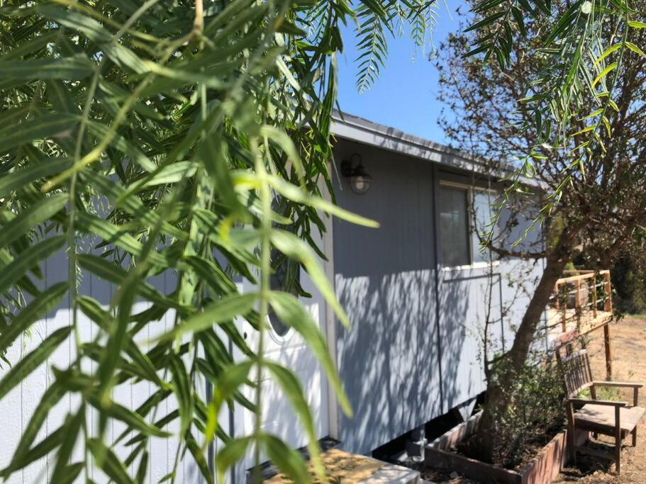 30 Pct Off!! Limited Time! Malibu Charming Getaway With King Bed, Near Beach מראה חיצוני תמונה